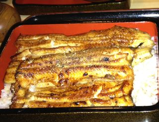 Unagi