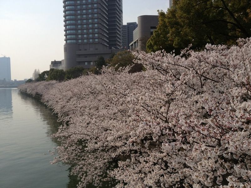 桜ノ宮公園